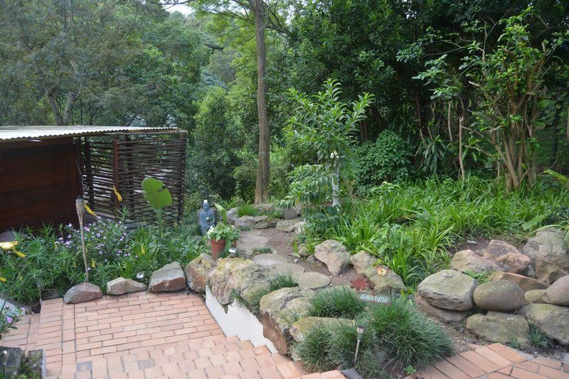 Riverview Self Catering Guesthouse Westville Durban Kwazulu Natal South Africa Plant, Nature, Garden