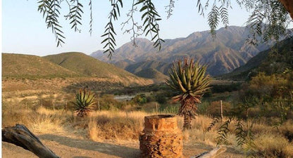 River View Cottages Calitzdorp Western Cape South Africa Cactus, Plant, Nature, Desert, Sand