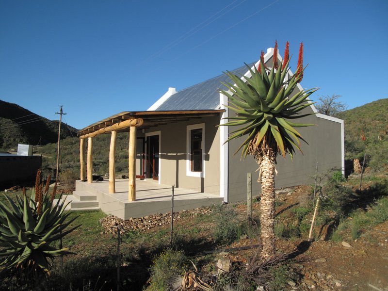 River View Cottages Calitzdorp Western Cape South Africa Complementary Colors, Cactus, Plant, Nature, House, Building, Architecture, Palm Tree, Wood