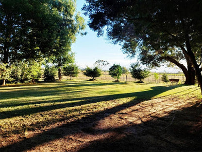 Rivierplaas Campsite, Camp site A4, Tree, Plant, Nature, Wood, Lowland