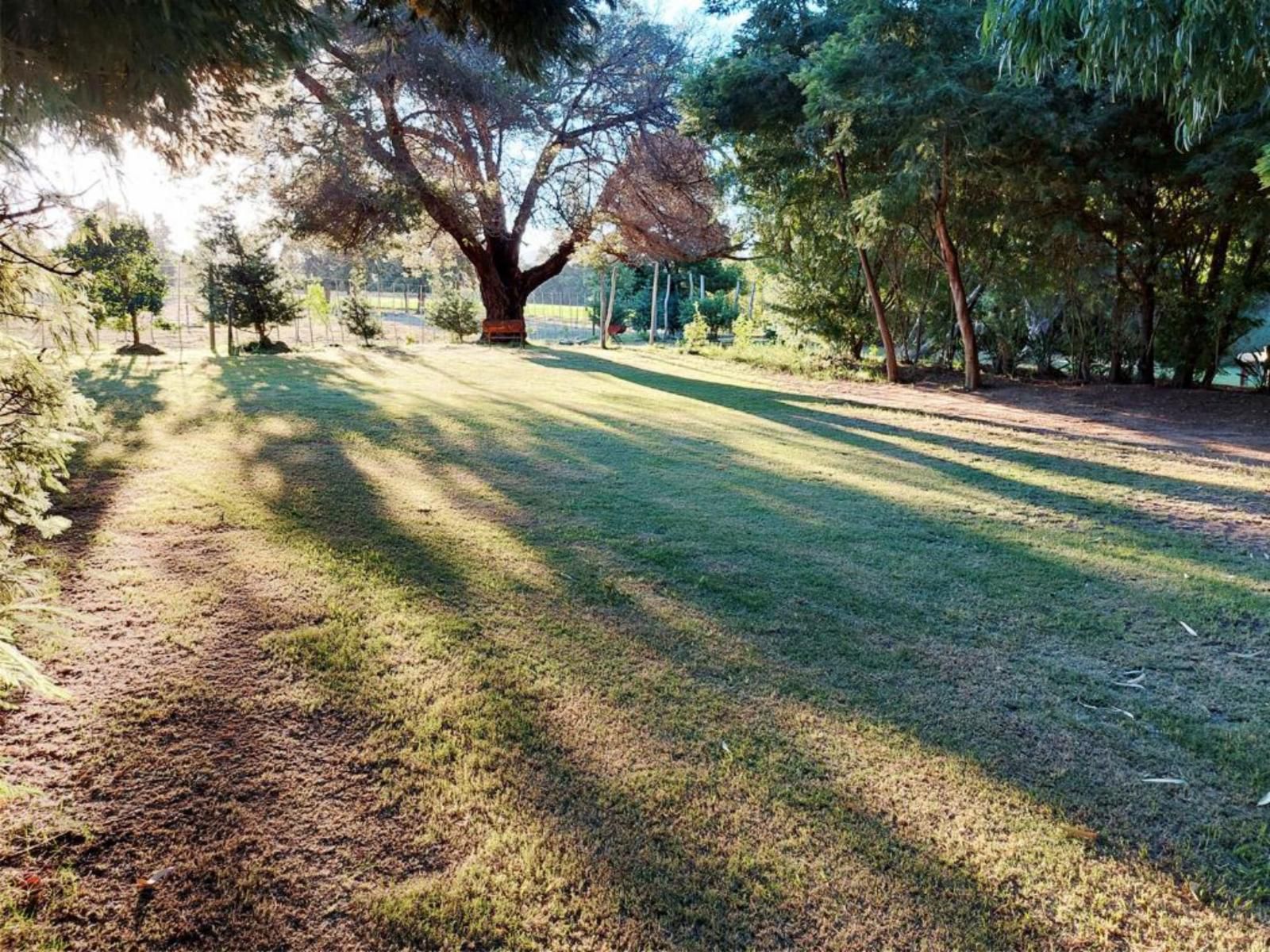 Rivierplaas Campsite, Camp site A5, Plant, Nature, Tree, Wood, Garden