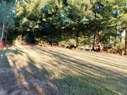 Rivierplaas Campsite, Camp site C1, Forest, Nature, Plant, Tree, Wood