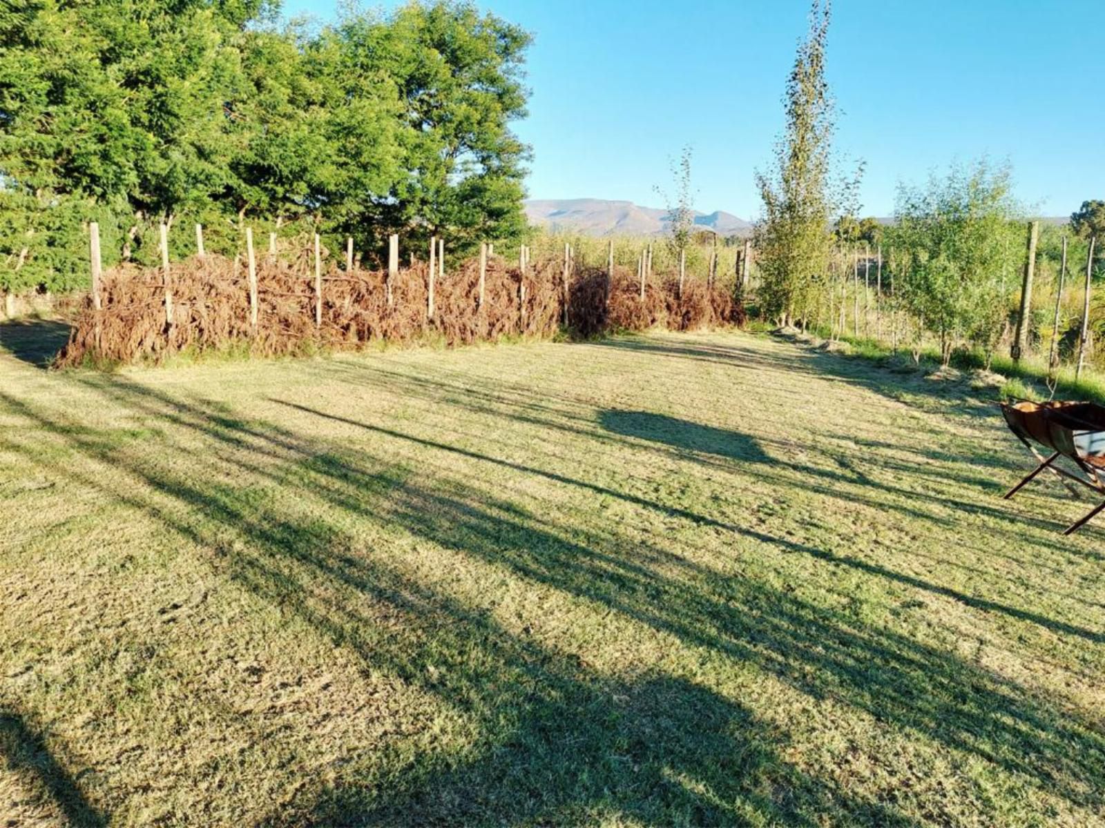 Rivierplaas Campsite, Camp site C13, Field, Nature, Agriculture