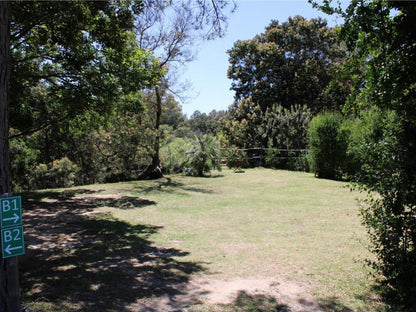 Rivierplaas Campsite, Camp site C7, Tree, Plant, Nature, Wood