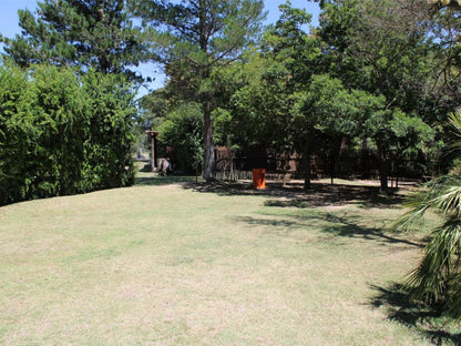 Rivierplaas Campsite, Camp site C9, Plant, Nature, Tree, Wood