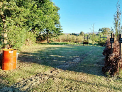 Rivierplaas Campsite, Camp site E1, Tree, Plant, Nature, Wood