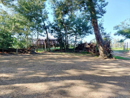 Rivierplaas Campsite, Camp site E1, Tree, Plant, Nature, Wood