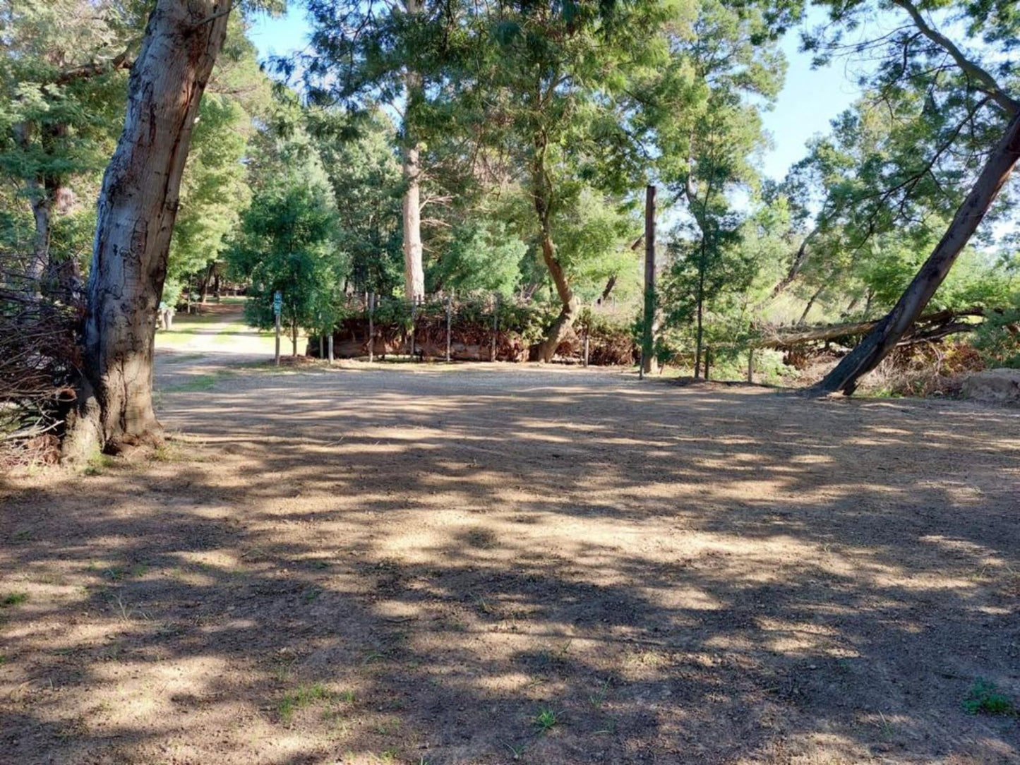 Rivierplaas Campsite, Camp site E3, Forest, Nature, Plant, Tree, Wood