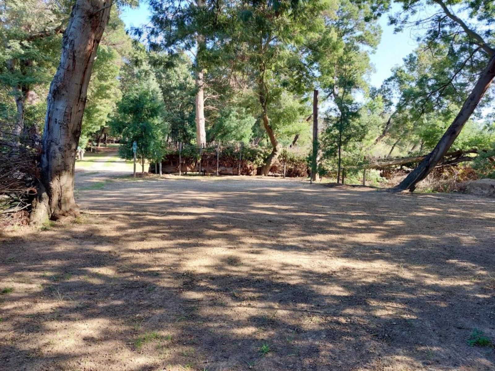 Rivierplaas Campsite, Camp site E3, Forest, Nature, Plant, Tree, Wood