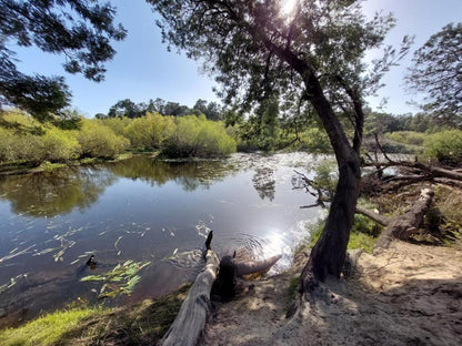 Rivierplaas Campsite, Camp site F2, Forest, Nature, Plant, Tree, Wood, River, Waters