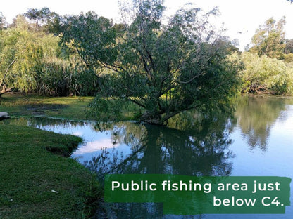 Rivierplaas Campsite, Camp site F3, Fish, Marine Animal, Animal, River, Nature, Waters, Tree, Plant, Wood