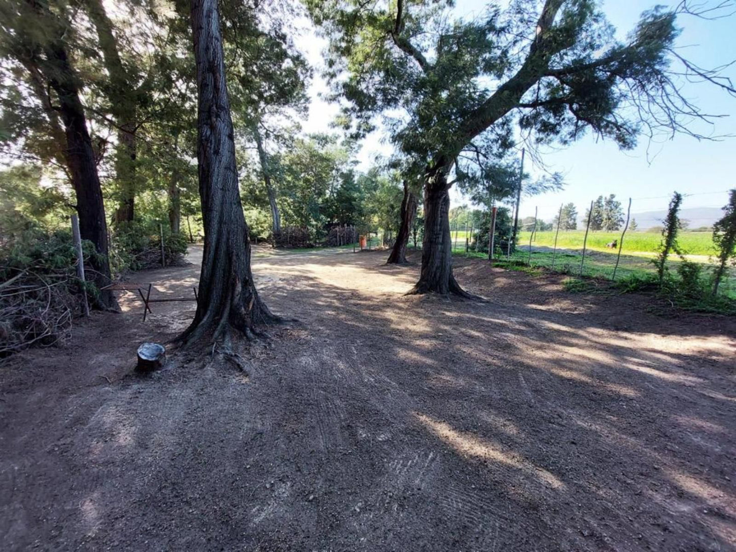 Rivierplaas Campsite, Camp site G, Forest, Nature, Plant, Tree, Wood