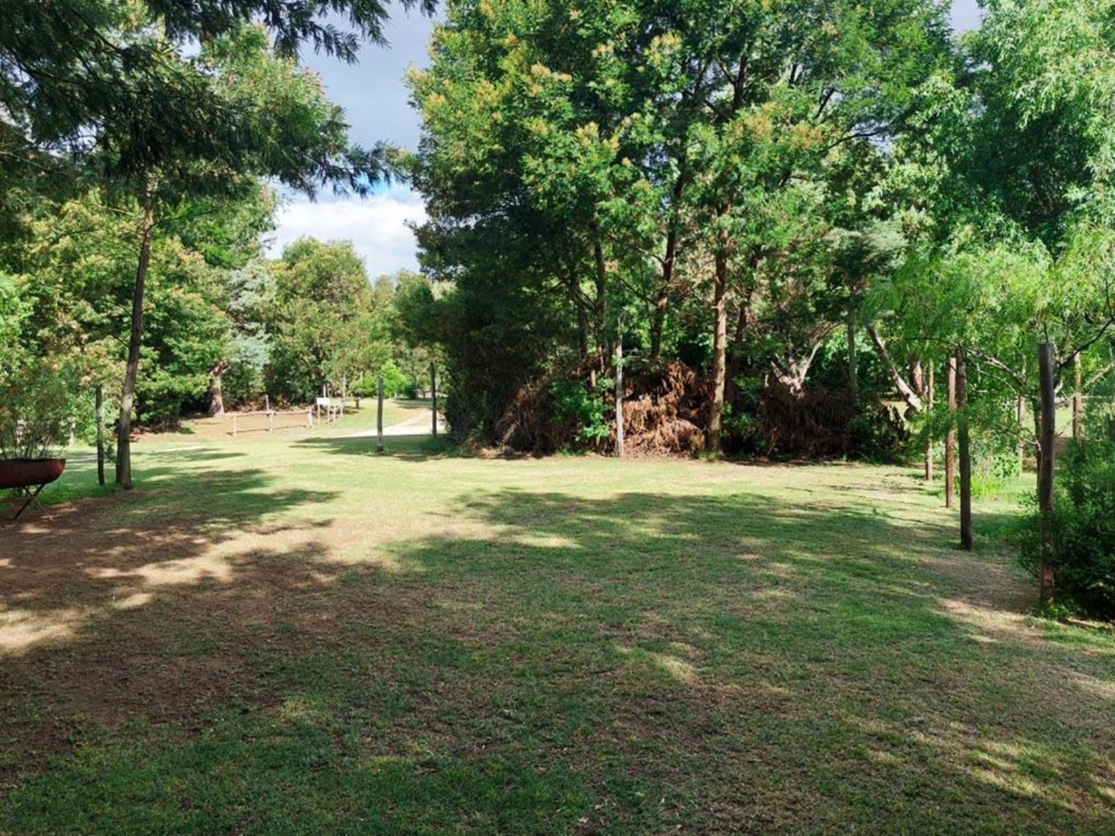 Rivierplaas Campsite, Camp site G, Tree, Plant, Nature, Wood