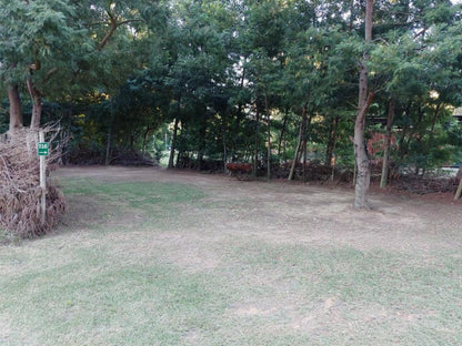 Rivierplaas Campsite, Camp site i4, Plant, Nature, Tree, Wood, Garden