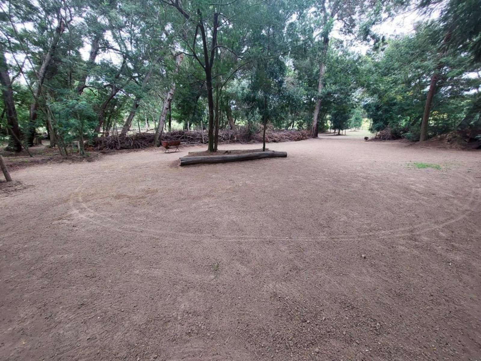 Rivierplaas Campsite, Camp site J2, Forest, Nature, Plant, Tree, Wood