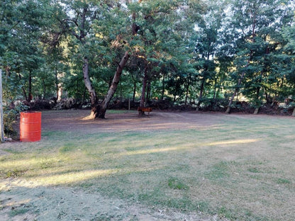 Rivierplaas Campsite, Camp site J4, Tree, Plant, Nature, Wood