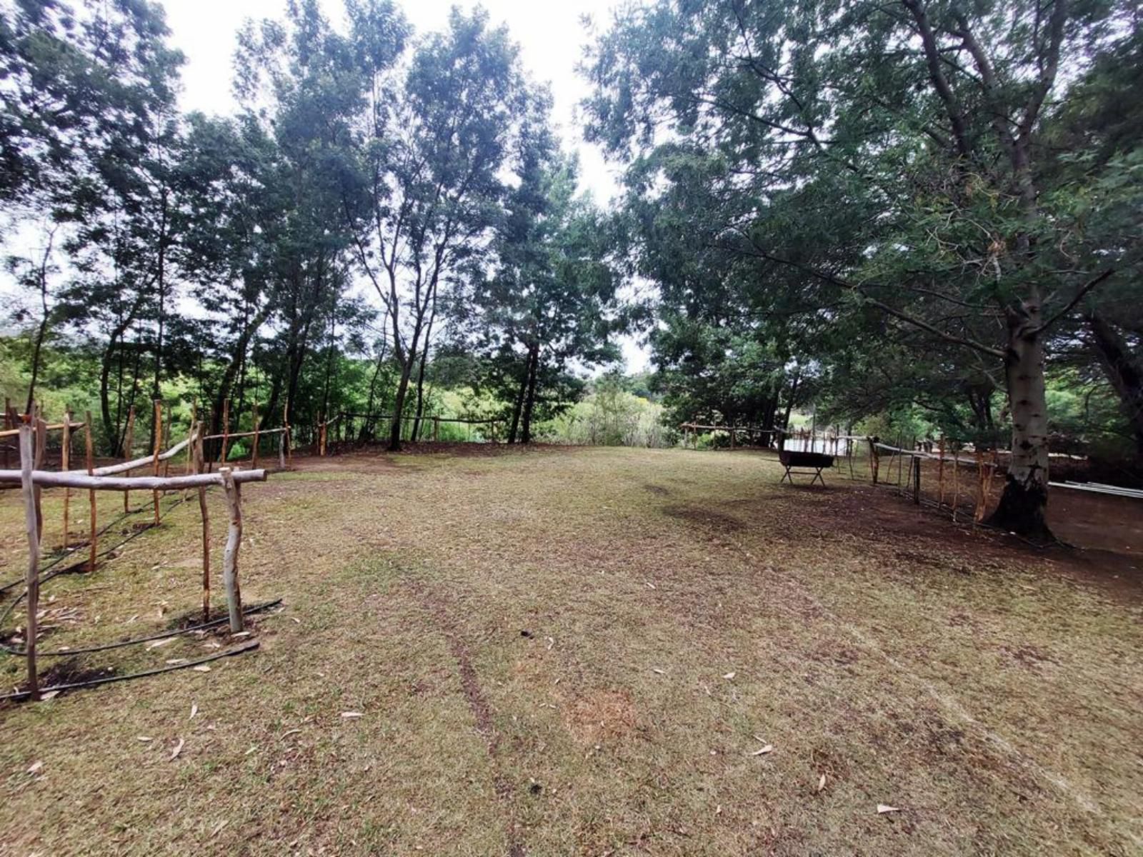 Rivierplaas Campsite, Camp site J6, Tree, Plant, Nature, Wood