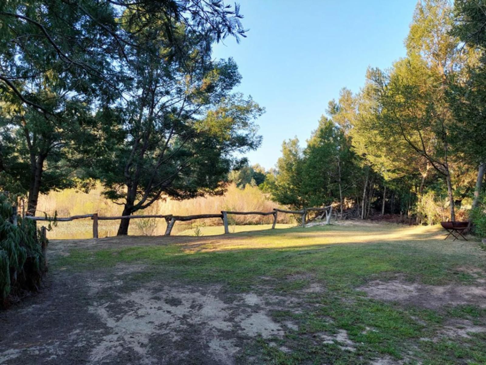 Rivierplaas Campsite, Campsite J10, Tree, Plant, Nature, Wood