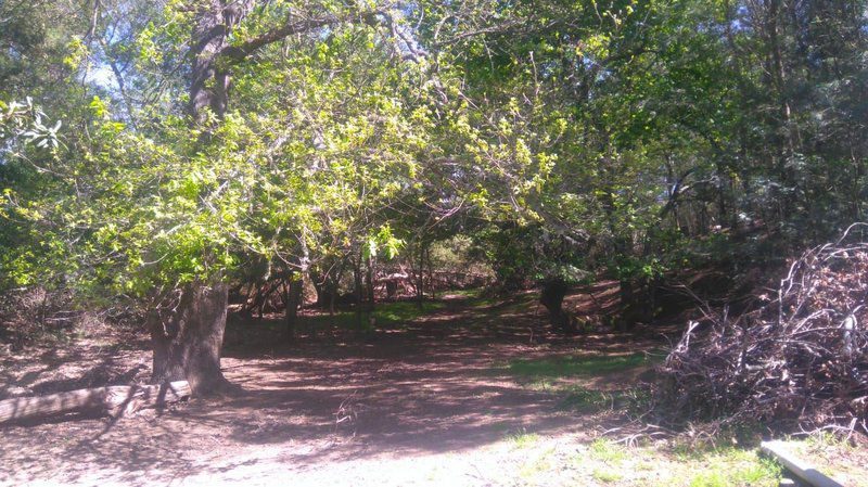 Riviersonderend 4X4 Riviersonderend Western Cape South Africa Forest, Nature, Plant, Tree, Wood