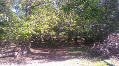 Riviersonderend 4X4 Riviersonderend Western Cape South Africa Forest, Nature, Plant, Tree, Wood