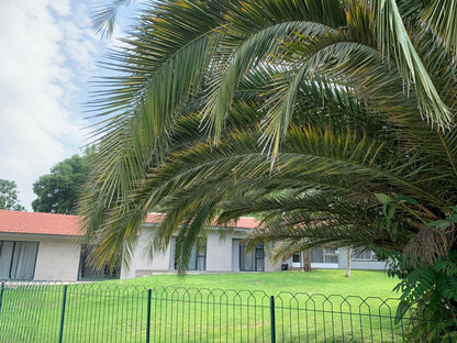 Rivonia Guest House Edenburg Johannesburg Gauteng South Africa House, Building, Architecture, Palm Tree, Plant, Nature, Wood