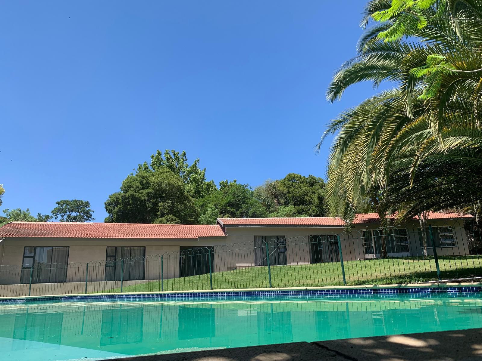 Rivonia Guest House Edenburg Johannesburg Gauteng South Africa House, Building, Architecture, Palm Tree, Plant, Nature, Wood, Swimming Pool