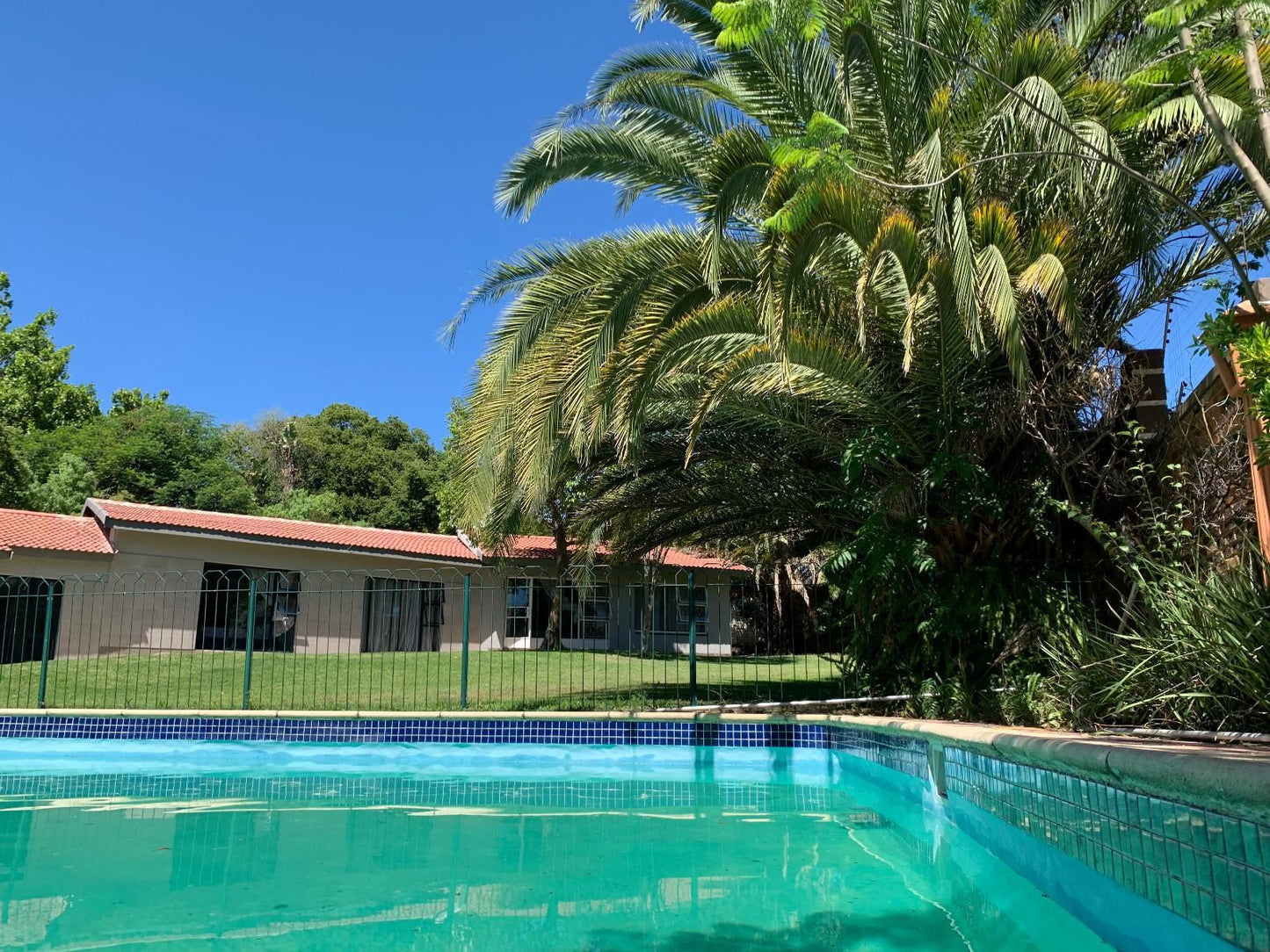 Rivonia Guest House Edenburg Johannesburg Gauteng South Africa Complementary Colors, Palm Tree, Plant, Nature, Wood, Swimming Pool