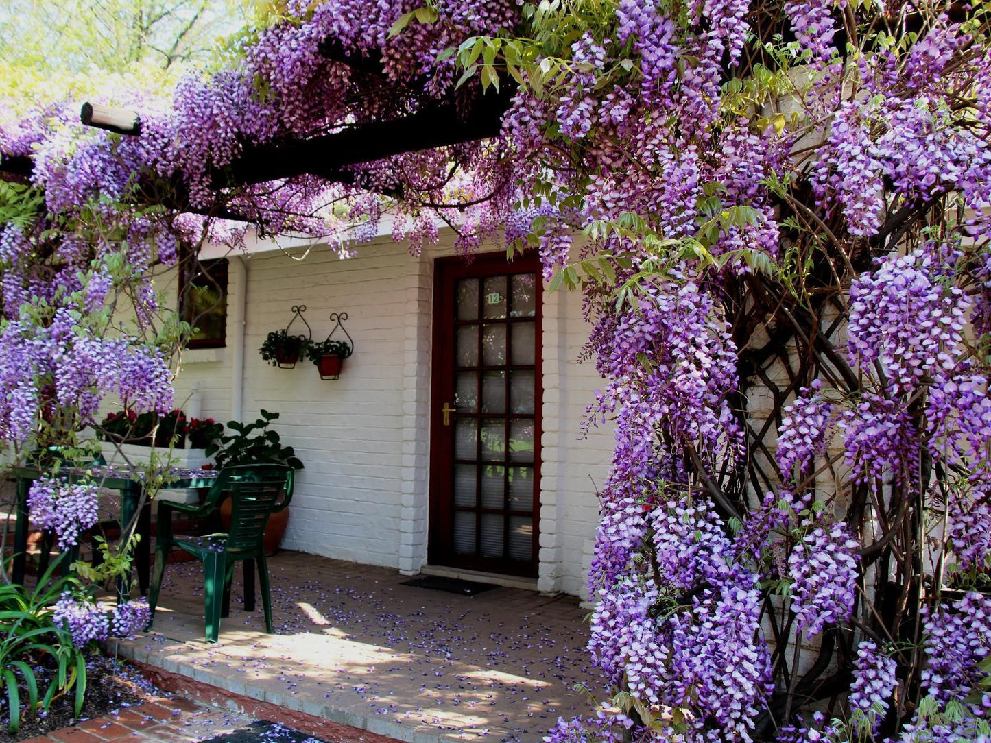 Rivonia Premier Lodge Rivonia Johannesburg Gauteng South Africa Blossom, Plant, Nature, House, Building, Architecture, Garden