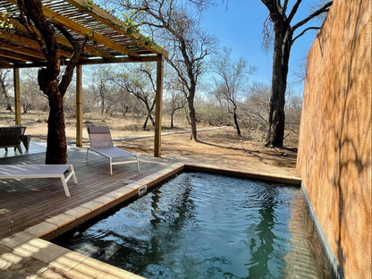 Rixile Kruger Lodge Sabi Sabi Private Game Reserve Mpumalanga South Africa Swimming Pool