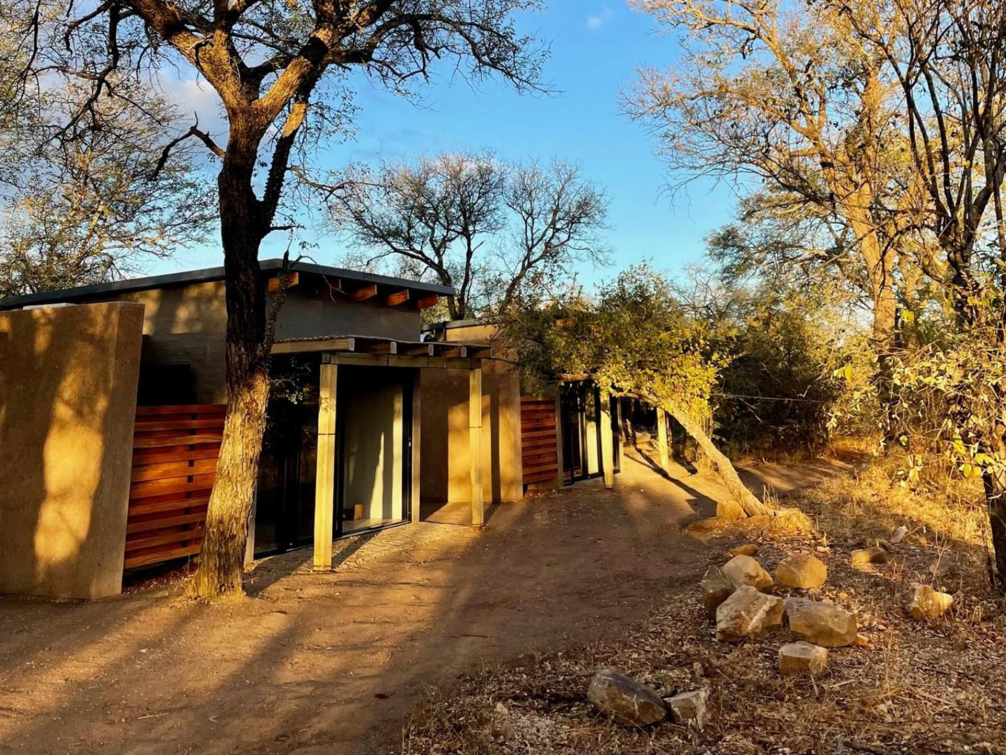 Rixile Kruger Lodge Sabi Sabi Private Game Reserve Mpumalanga South Africa Cabin, Building, Architecture, Cactus, Plant, Nature