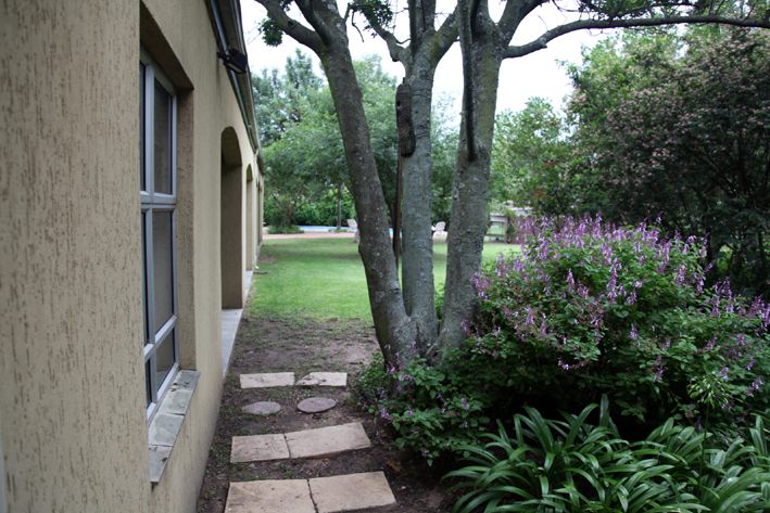 Robin S Roost Lanseria Johannesburg Gauteng South Africa House, Building, Architecture, Plant, Nature, Garden