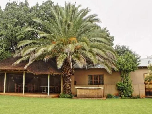 Rob'S Place, House, Building, Architecture, Palm Tree, Plant, Nature, Wood, Garden