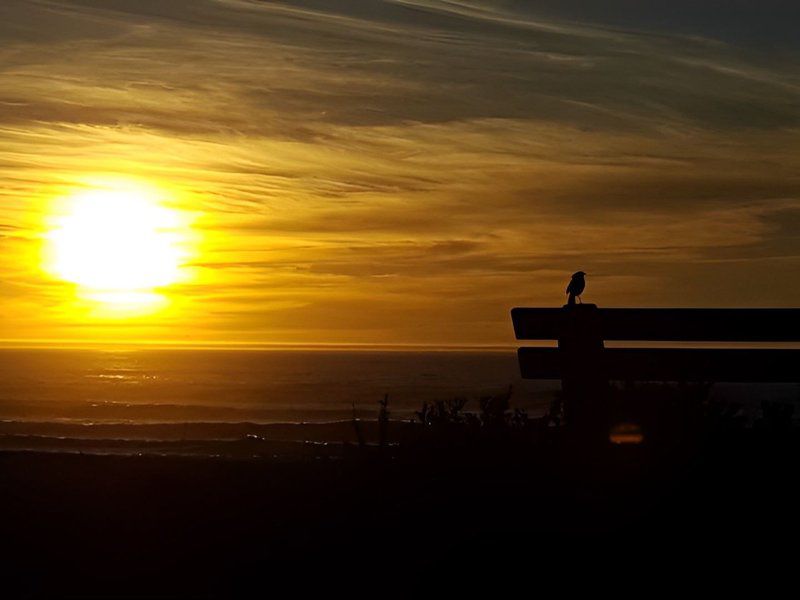 Rocherpan Dwarskersbos Western Cape South Africa Beach, Nature, Sand, Silhouette, Sky, Sunset