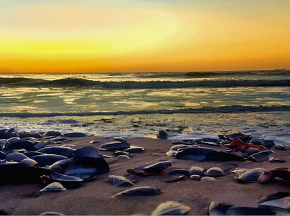 Rocherpan Dwarskersbos Western Cape South Africa Beach, Nature, Sand, Ocean, Waters, Sunset, Sky