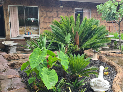 Rock Art Guest House, Plant, Nature, Garden