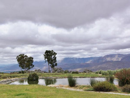 Rockhaven Farm Ramblers Park Goedverwacht Western Cape South Africa Complementary Colors, Nature