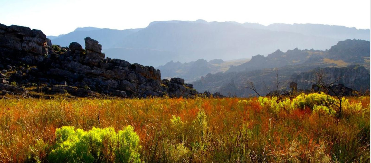 Rockhaven Farm Ramblers Park Goedverwacht Western Cape South Africa Nature