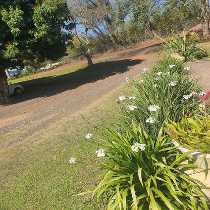 Rockabilly Ranch Lester Park Pietermaritzburg Kwazulu Natal South Africa Plant, Nature