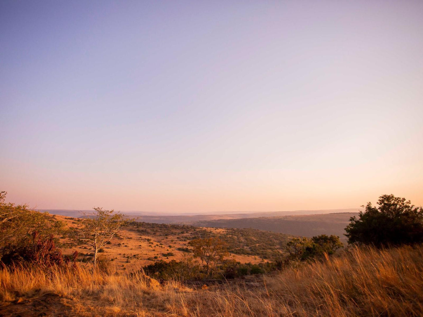 Rockdell Lodge, Nature