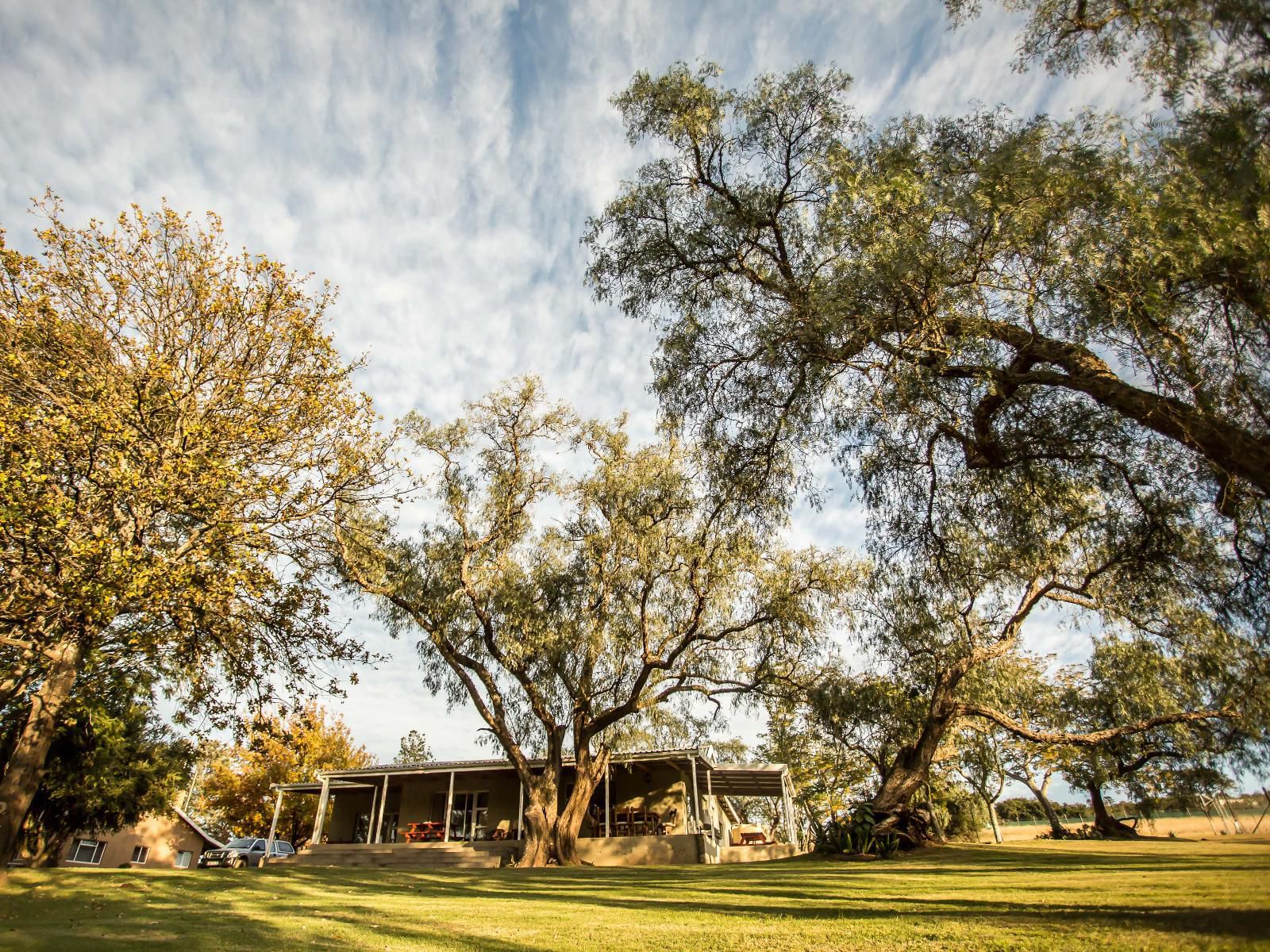 Rockdell Lodge, Plant, Nature, Tree, Wood