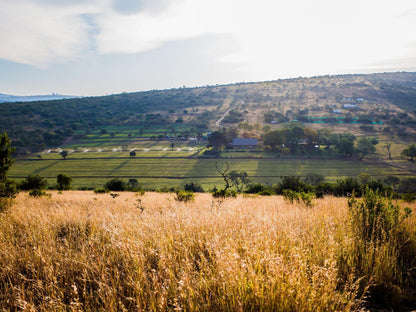 Rockdell Lodge, Field, Nature, Agriculture, Lowland