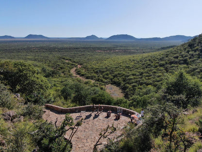 Rockfig Lodge Madikwe, Cactus, Plant, Nature