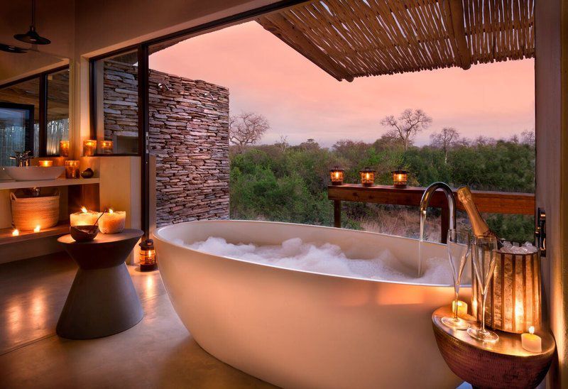 Rockfig Safari Lodge Timbavati Reserve Timbavati Reserve Mpumalanga South Africa Swimming Pool