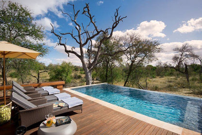 Rockfig Safari Lodge Timbavati Reserve Timbavati Reserve Mpumalanga South Africa Complementary Colors, Swimming Pool