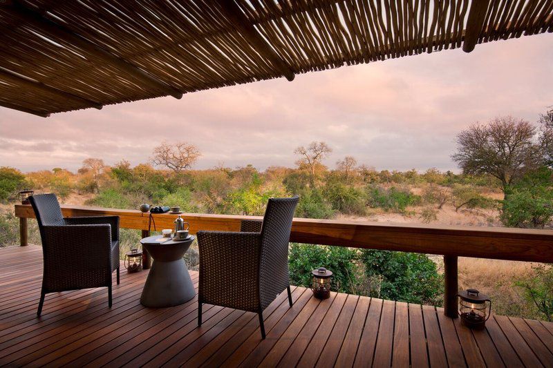 Rockfig Safari Lodge Timbavati Reserve Timbavati Reserve Mpumalanga South Africa 