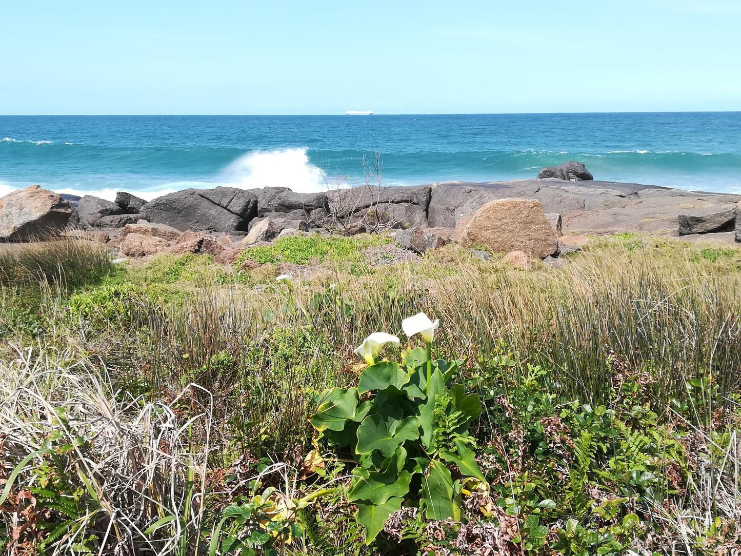 Rockview Guest House Port Edward Kwazulu Natal South Africa Complementary Colors, Beach, Nature, Sand