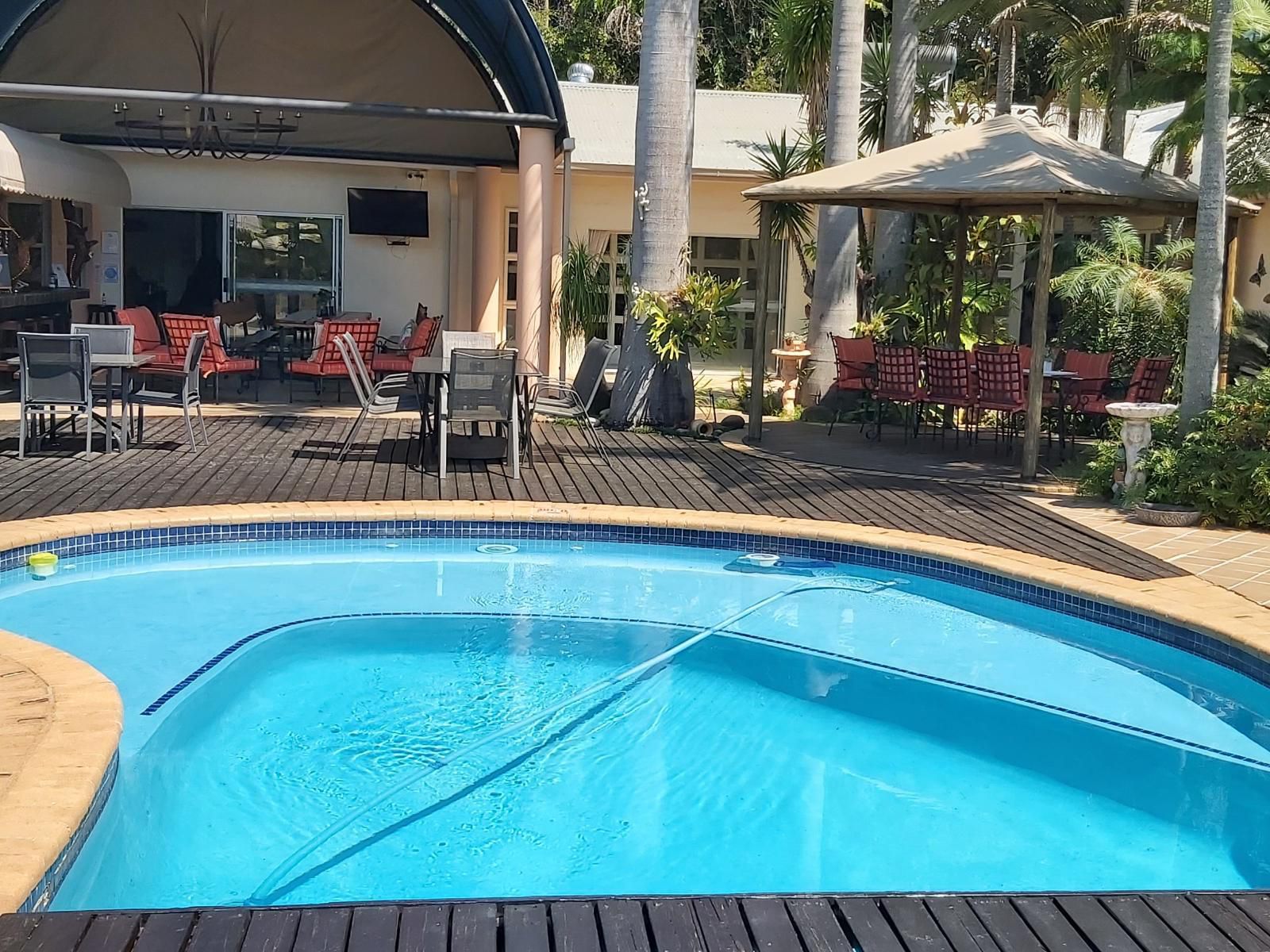 Rockview Lodge, Palm Tree, Plant, Nature, Wood, Swimming Pool