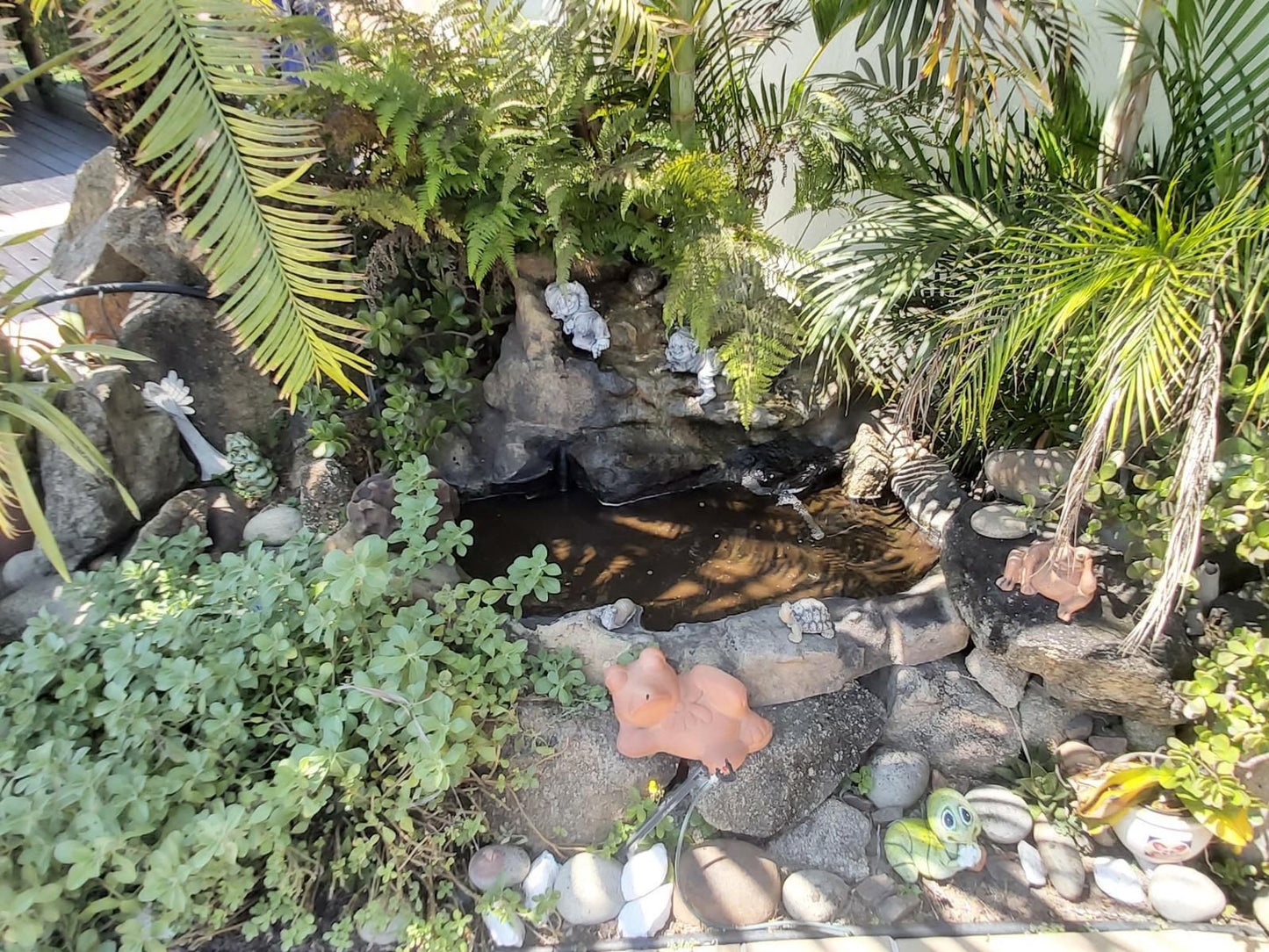 Rockview Lodge, Palm Tree, Plant, Nature, Wood, Waterfall, Waters, Garden