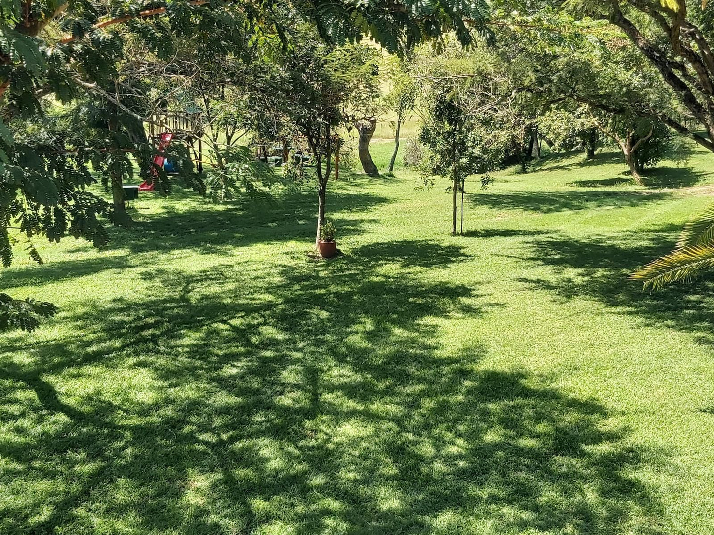 Rockview Lodge, Plant, Nature, Tree, Wood, Ball Game, Sport, Garden