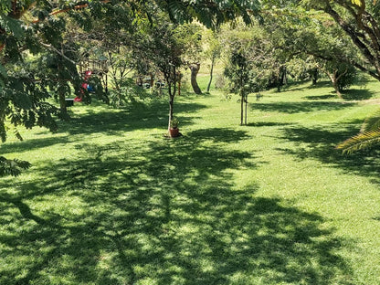 Rockview Lodge, Plant, Nature, Tree, Wood, Ball Game, Sport, Garden